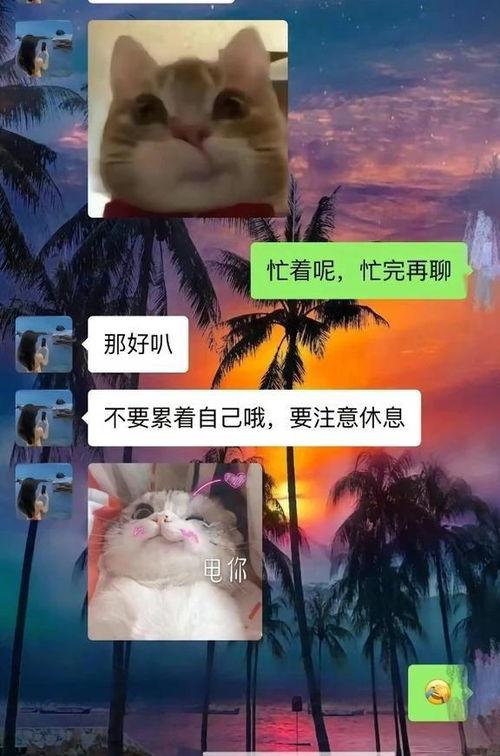 胖猫男友爆料视频,视频爆料背后的甜蜜生活